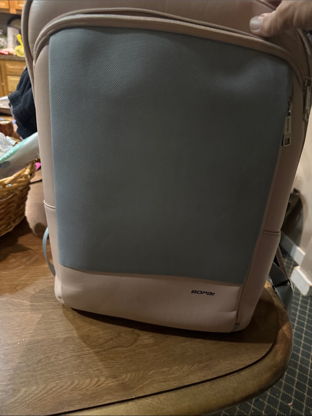 Two-Tone Pink and Gray Men's Backpack